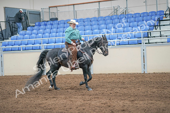 2020 - AB Morgan Horse - Sun, Sept 06 - 01631