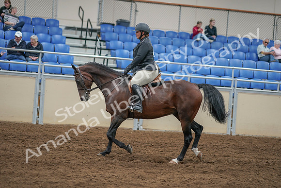 2020 - AB Morgan Horse - Sat, Sept 05 - 09319