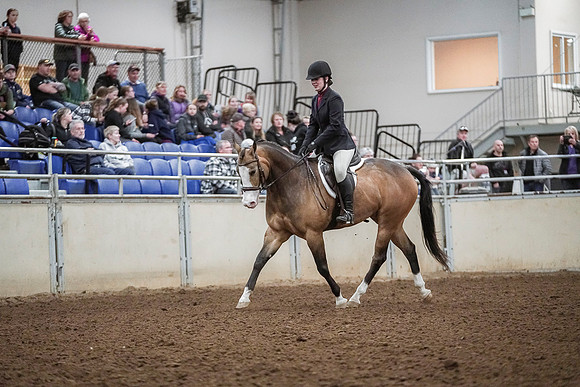 Spring Fling - Saturday - April 20, 2019  -  04541