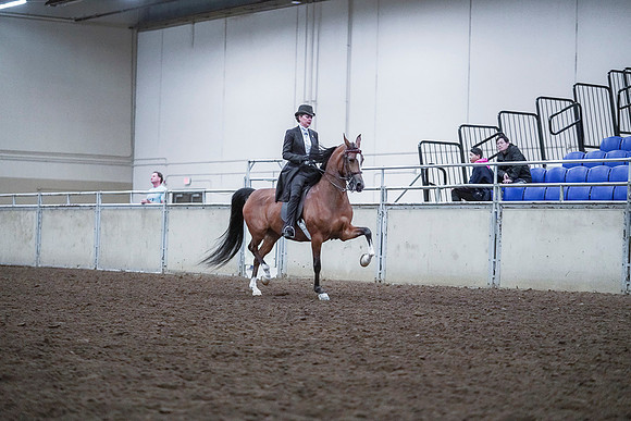 Spring Fling - Saturday - April 20, 2019  -  00798