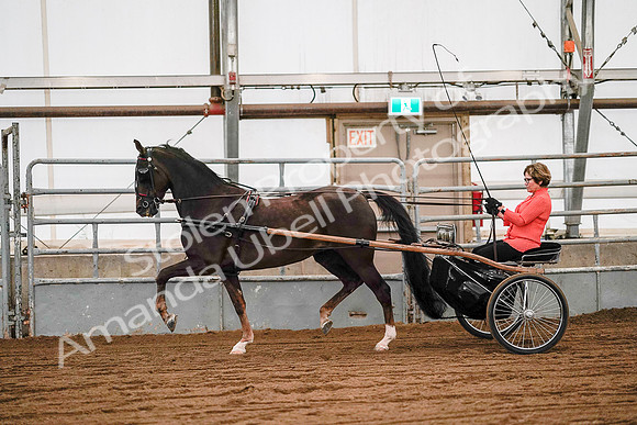 July 19, 2019 - 6992