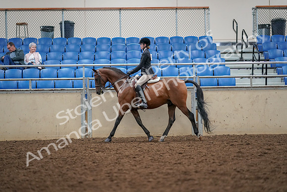 2019 Morgan Horse Show - Aug 30, 2019 - 23153