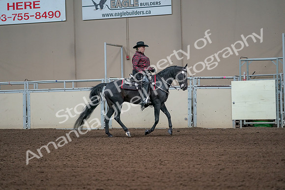2019 Morgan Horse Show - Aug 31, 2019 - 10717