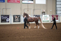 Spring Fling - Friday - April 19, 2019  -  03774