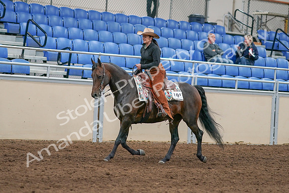 2020 - AB Morgan Horse - Sun, Sept 06 - 01599
