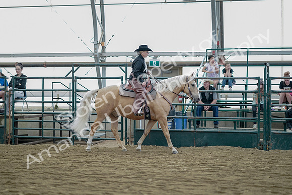 July 21, 2019 - 06832