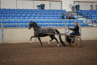2019 Morgan Horse Show - Aug 31, 2019 - 04234