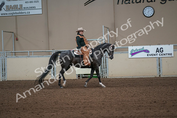 2019 Morgan Horse Show - Aug 31, 2019 - 06166