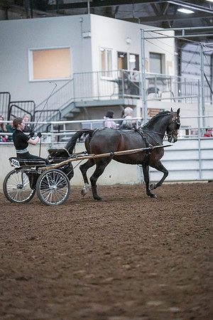 Spring Fling - Saturday - April 20, 2019  -  00264