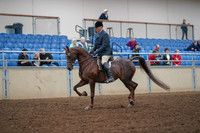 2019 Morgan Horse Show - Aug 30, 2019 - 17239