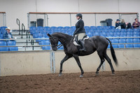 2019 Morgan Horse Show - Aug 31, 2019 - 14642