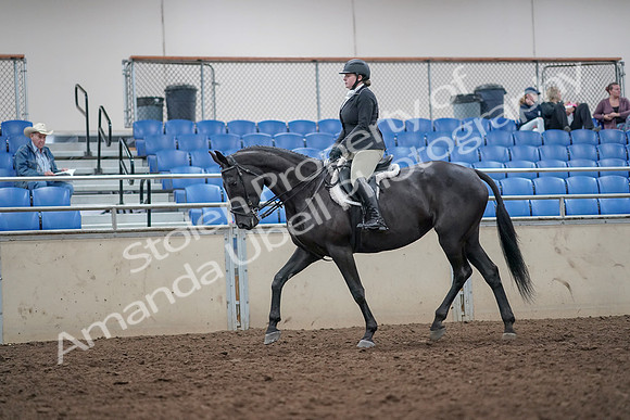 2019 Morgan Horse Show - Aug 31, 2019 - 14642