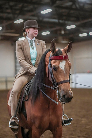 Spring Fling - Saturday - April 20, 2019  -  03884