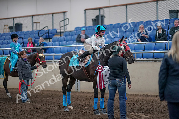 2019 Morgan Horse Show - Aug 31, 2019 - 10148