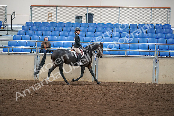 2019 Morgan Horse Show - Aug 30, 2019 - 12454