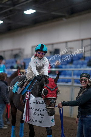 2019 Morgan Horse Show - Aug 31, 2019 - 10166