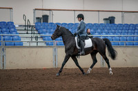 2019 Morgan Horse Show - Aug 31, 2019 - 07161
