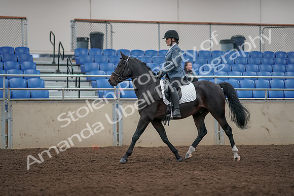 2019 Morgan Horse Show - Aug 31, 2019 - 07161