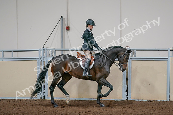 2020 - AB Morgan Horse - Sun, Sept 06 - 08086