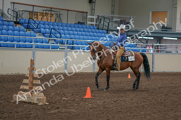 2020 - AB Morgan Horse - Fri, Sept 04 - 00175