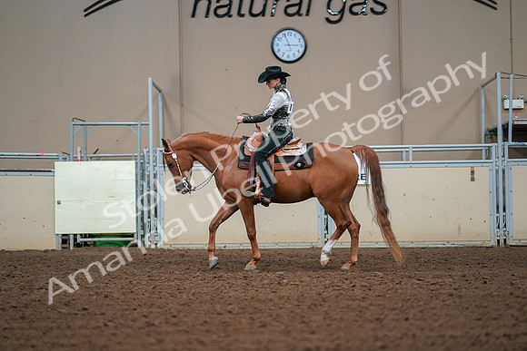 2019 Morgan Horse Show - Aug 30, 2019 - 16796