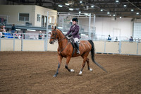 2020 - AB Morgan Horse - Fri, Sept 04 - 02215