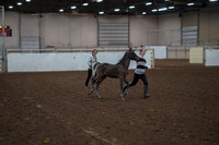 2019 Morgan Horse Show - Aug 31, 2019 - 00185