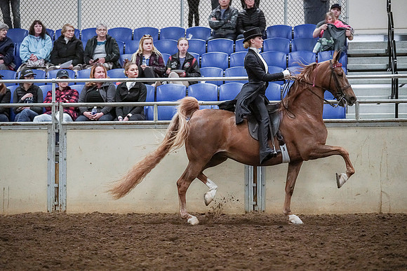 Spring Fling - Saturday - April 20, 2019  -  04340