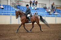 2020 - AB Morgan Horse - Sat, Sept 05 - 06874