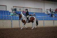 2019 Morgan Horse Show - Aug 30, 2019 - 14847
