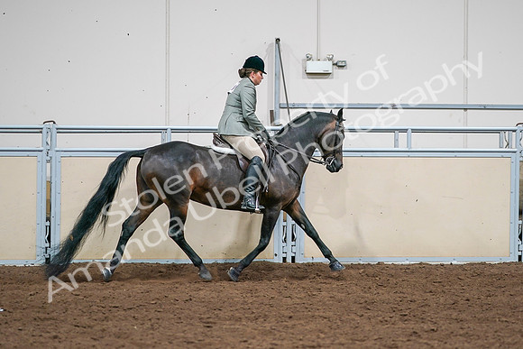 2020 - AB Morgan Horse - Sat, Sept 05 - 14524