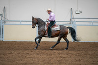 2020 - AB Morgan Horse - Sat, Sept 05 - 05658