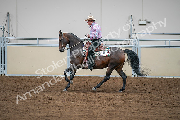 2020 - AB Morgan Horse - Sat, Sept 05 - 05658