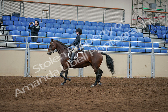 2020 - AB Morgan Horse - Sun, Sept 06 - 07852