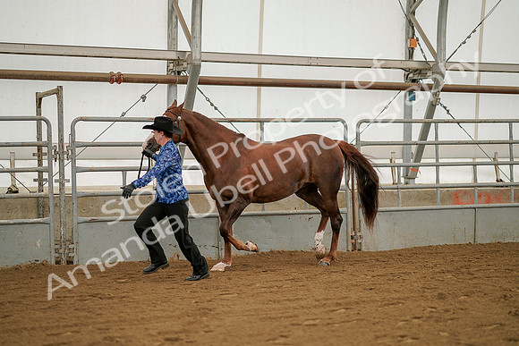 July 19, 2019 - 1273