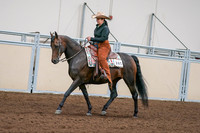 2020 - AB Morgan Horse - Sun, Sept 06 - 01553