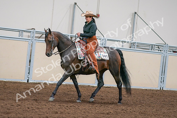 2020 - AB Morgan Horse - Sun, Sept 06 - 01553