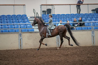 2019 Morgan Horse Show - Aug 31, 2019 - 07669