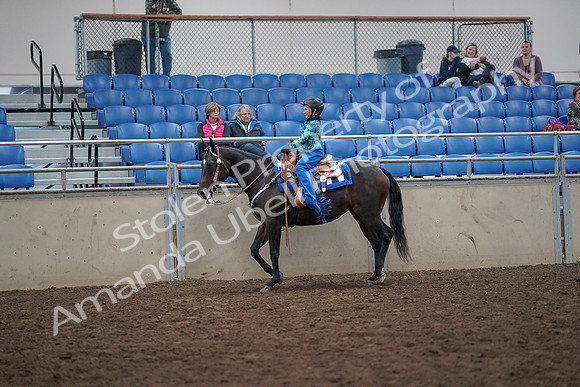 2019 Morgan Horse Show - Aug 31, 2019 - 16316