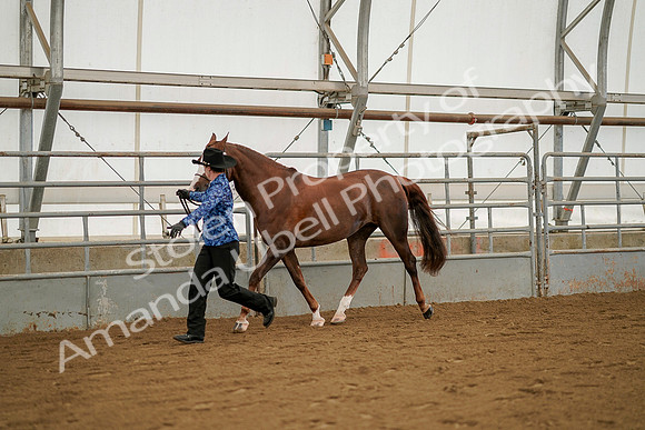 July 19, 2019 - 1263