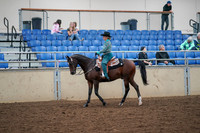 2019 Morgan Horse Show - Aug 30, 2019 - 16701