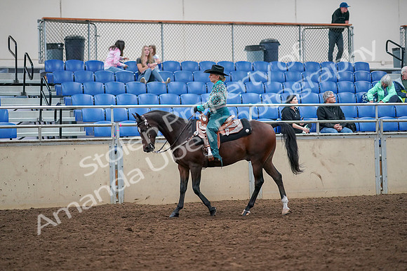 2019 Morgan Horse Show - Aug 30, 2019 - 16701