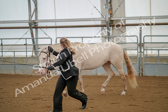 July 19, 2019 - 362