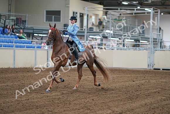 2020 - AB Morgan Horse - Sat, Sept 05 - 06112