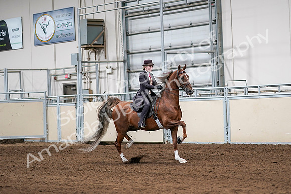 2020 - AB Morgan Horse - Sat, Sept 05 - 06431