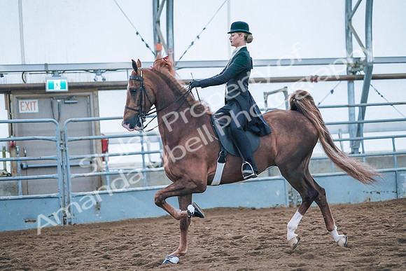 July 20, 2019 - 24001