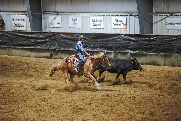 DSC09411