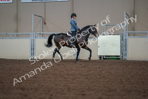 2019 Morgan Horse Show - Aug 30, 2019 - 18512