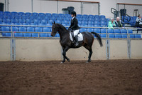 2019 Morgan Horse Show - Aug 30, 2019 - 18292