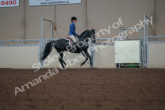 2019 Morgan Horse Show - Aug 30, 2019 - 18614